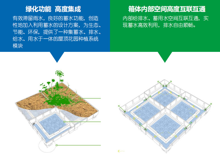 种植容器